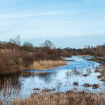 Hedeland