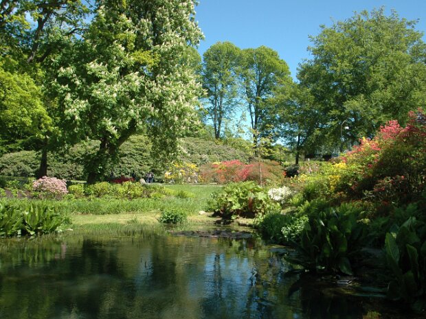 Natur